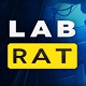 实验室老鼠