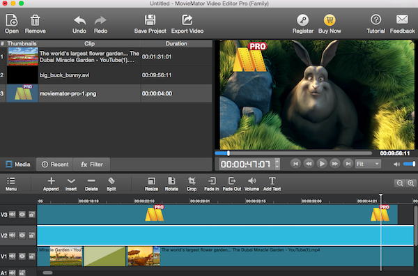 Video Editor MovieMator Pro for Mac